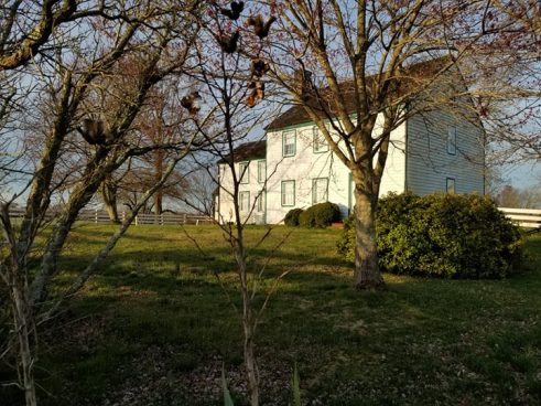 House in the morning